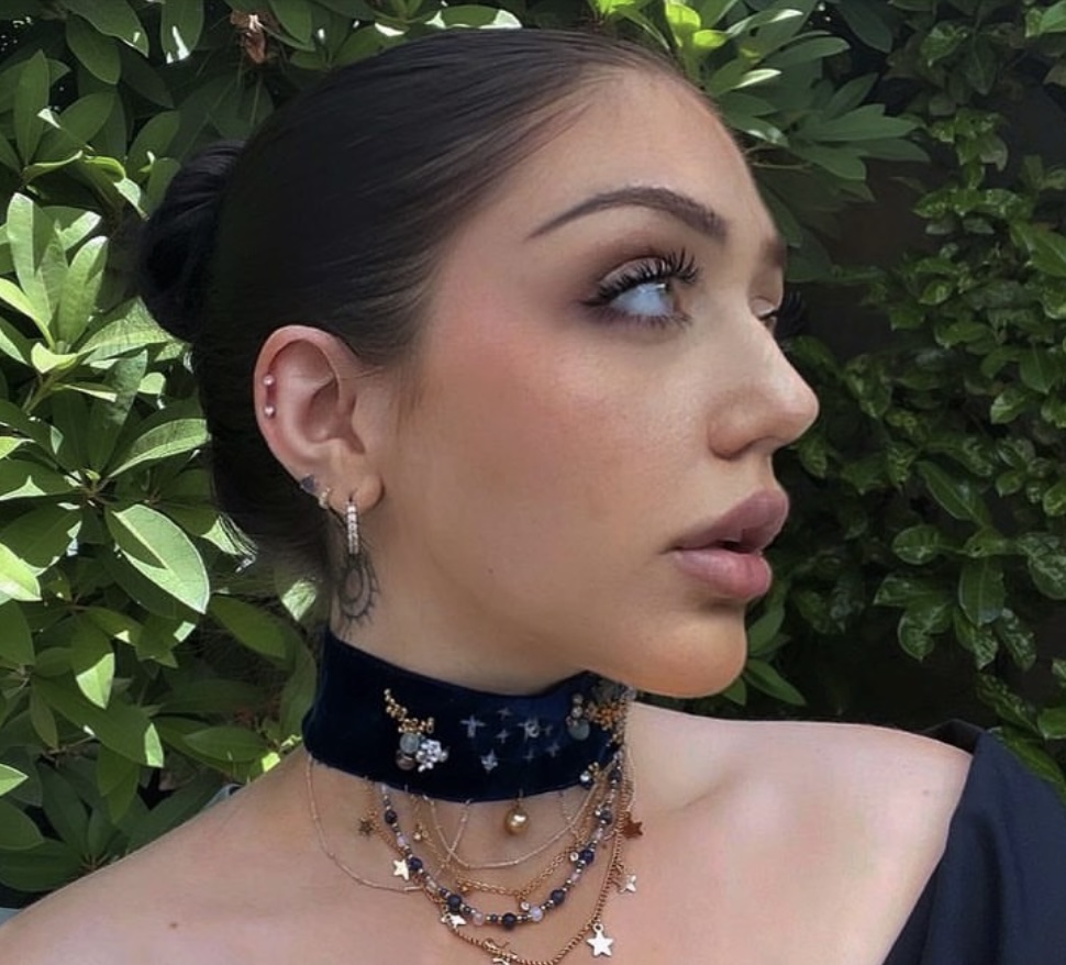 Celestial Twilight — Navy velvet with embroidered stars